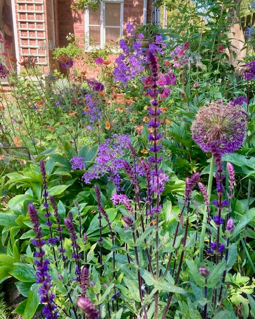 Colourful planting