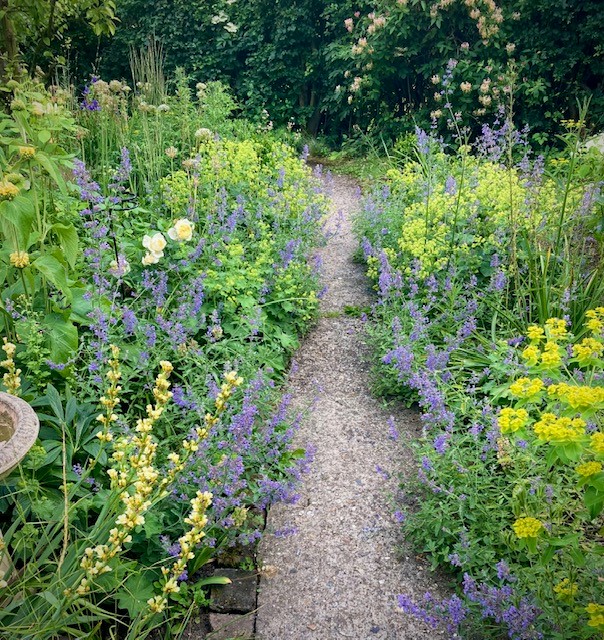 Cottage garden path