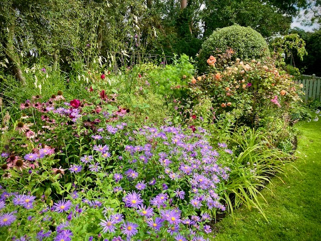 Late summer border