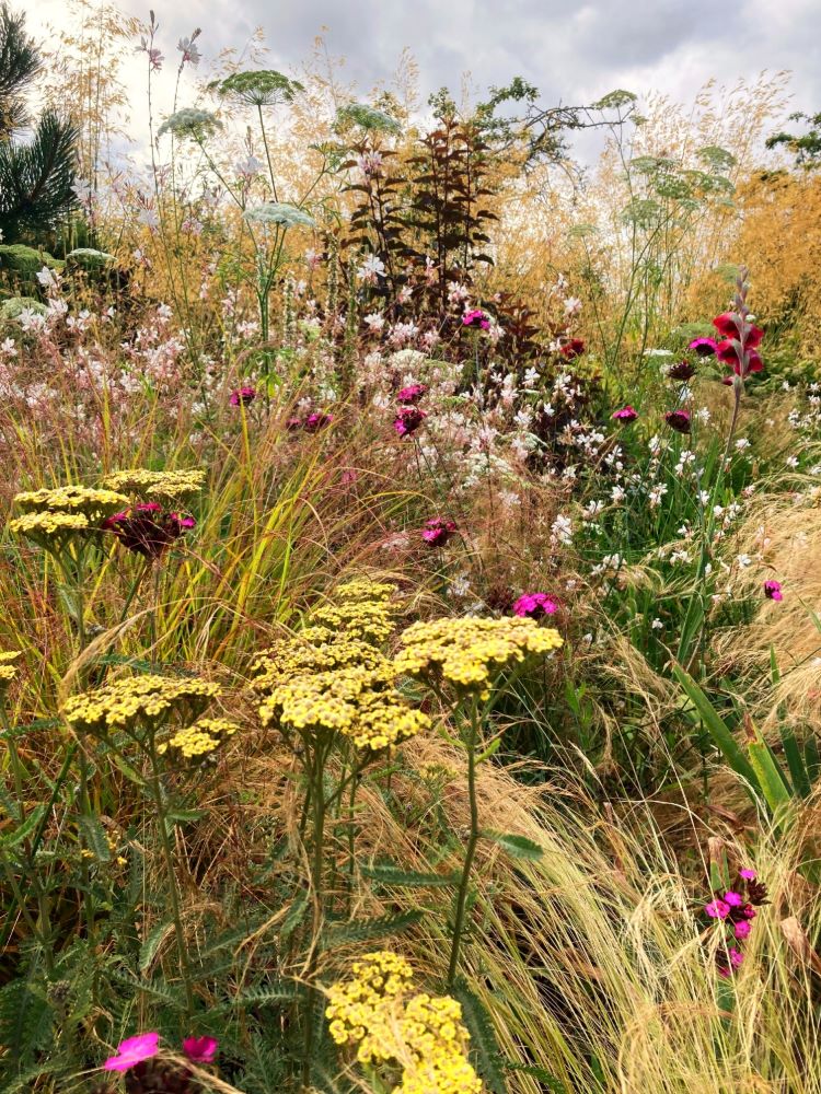 Naturalistic border