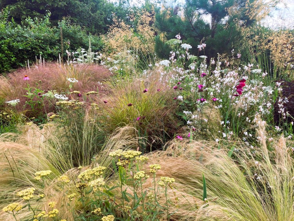 Naturalistic border
