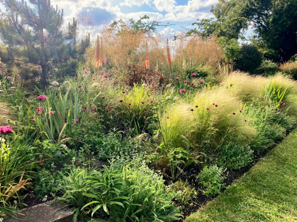 Naturalistic border